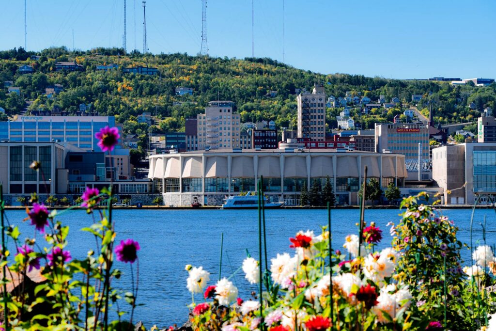 beautiful purple, white and red flowers are in the foreground and the DECC is across the harbor.