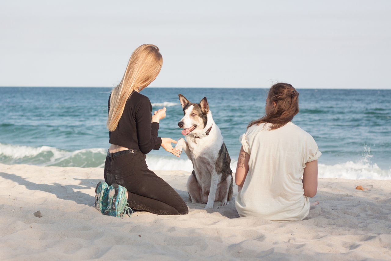Two young women sitting on Park Point, one is teaching her dog to shake a paw.