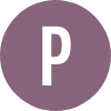 Accessible Parking Icon