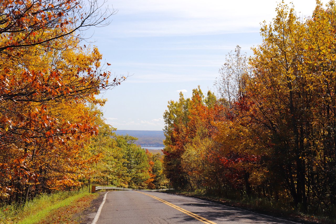 roadway with autumn-colored maples trees alongside it.