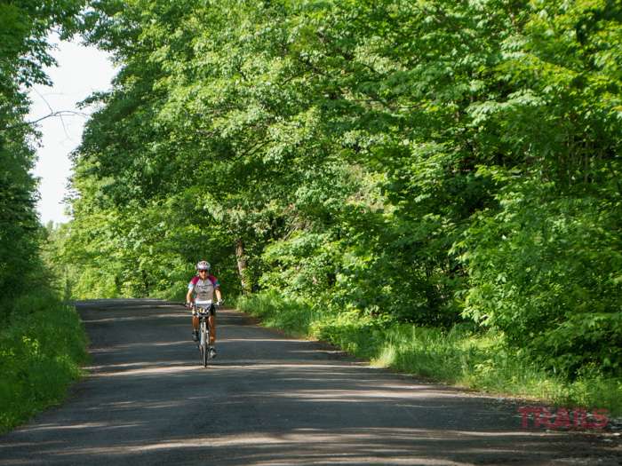 Woman riding bike down paved road with many trees surrounding.