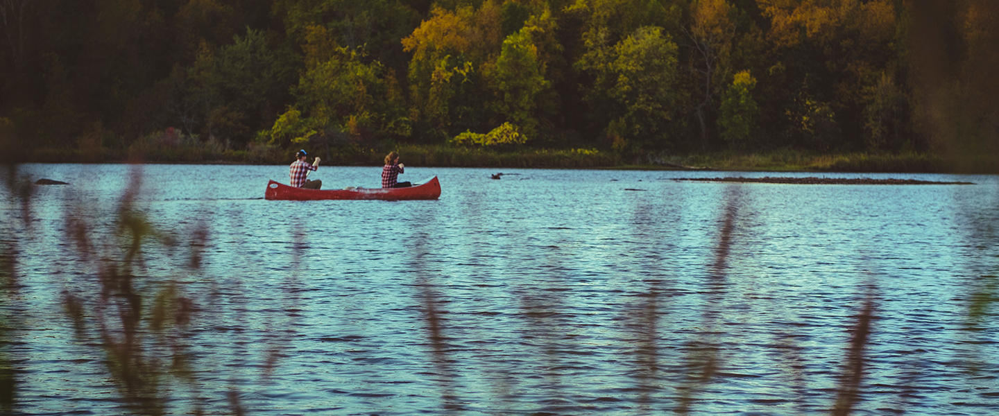 people canoeing on a lake