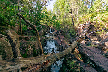stream going through the woods