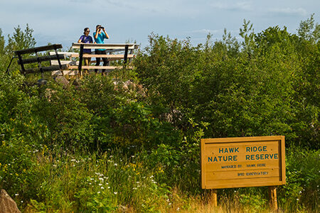 Hawk Ridge Nature Reserve