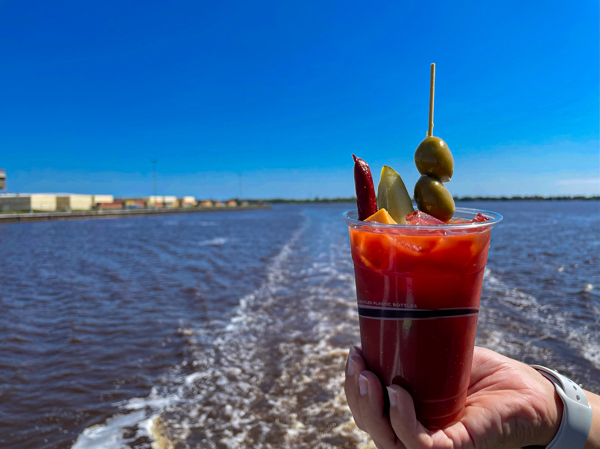 bloody mary with a pickle and olives