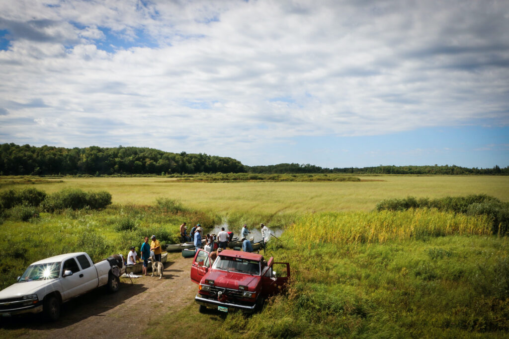 Manoominike Harvest. Photo taken of Fond du Lac Ojibwe reservation community members getting ready to harvest wild rice in 2016. Photo by Ivy Vainio