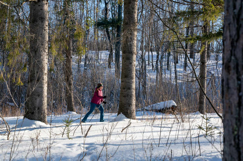 A person cross country skiing