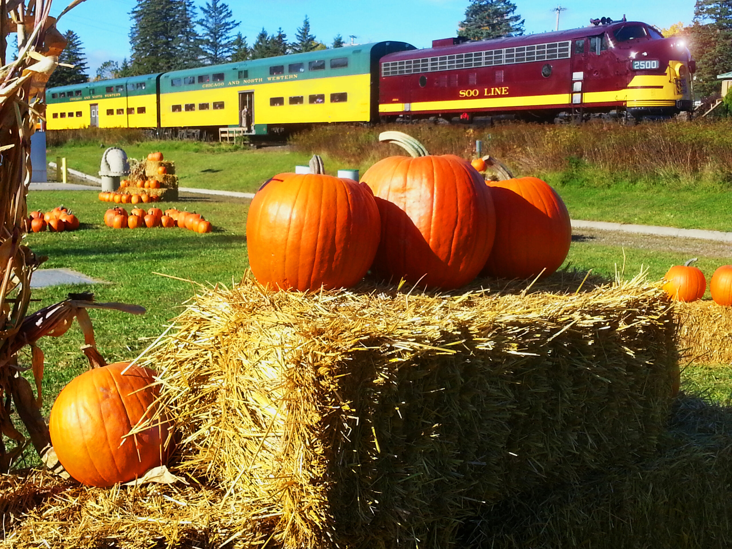 The Great Pumpkin Train
