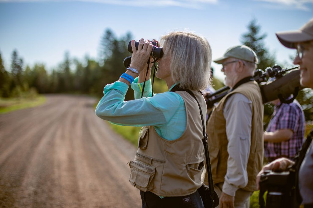 Dlth21 fallshoot birdwatching 3