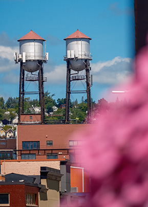 water towers with pink flowers