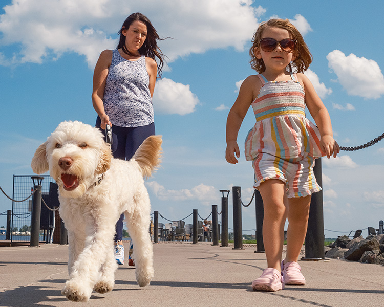 family walking with the dog