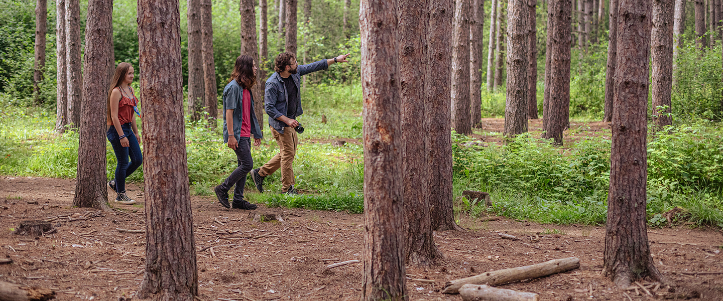 people walking in the woods