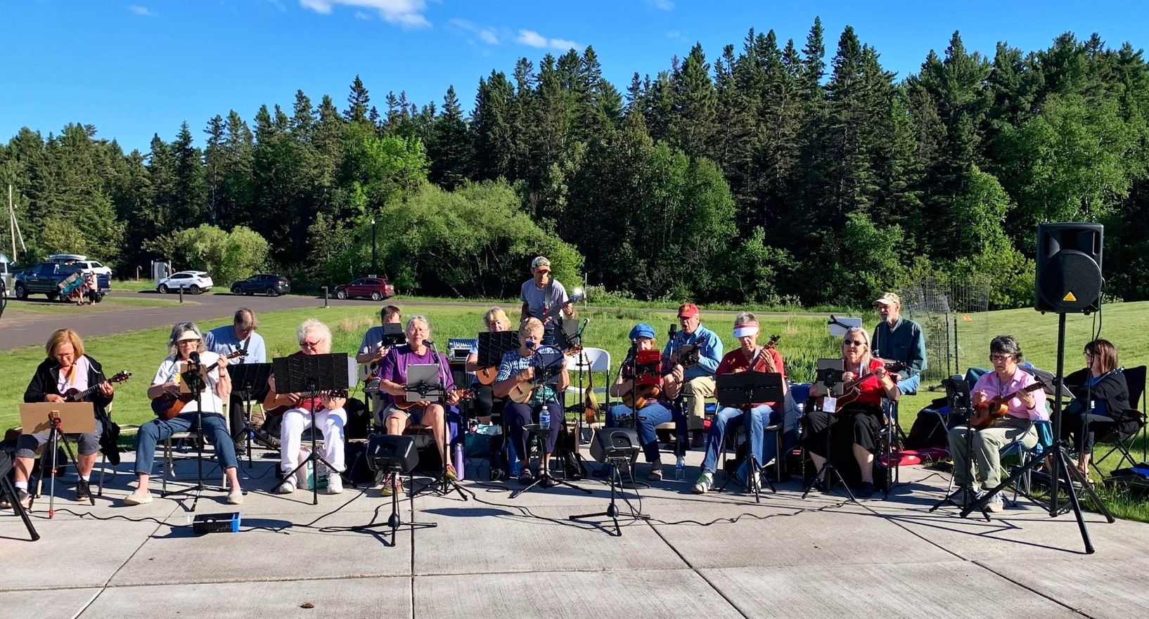 people playing music in the park