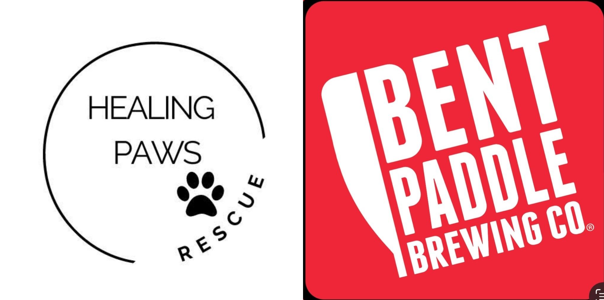 Healing Paws x Bent Paddle Brewing Co