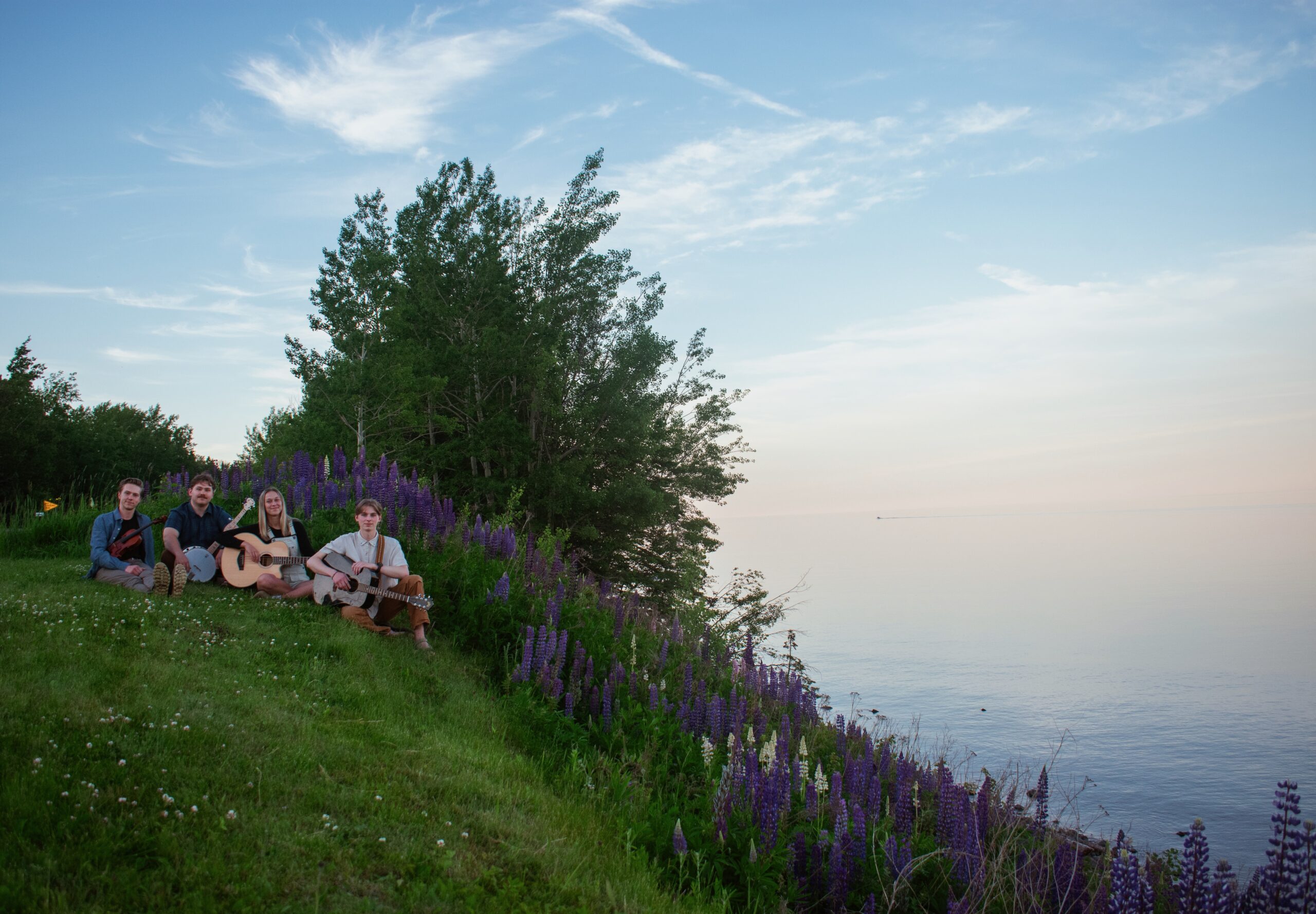 image of four musicians sitting on a green hillside with purple flowers that is next to a lake