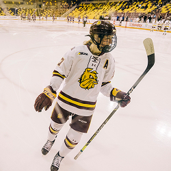Why meet in duluth 2 2 intro meetings and sports