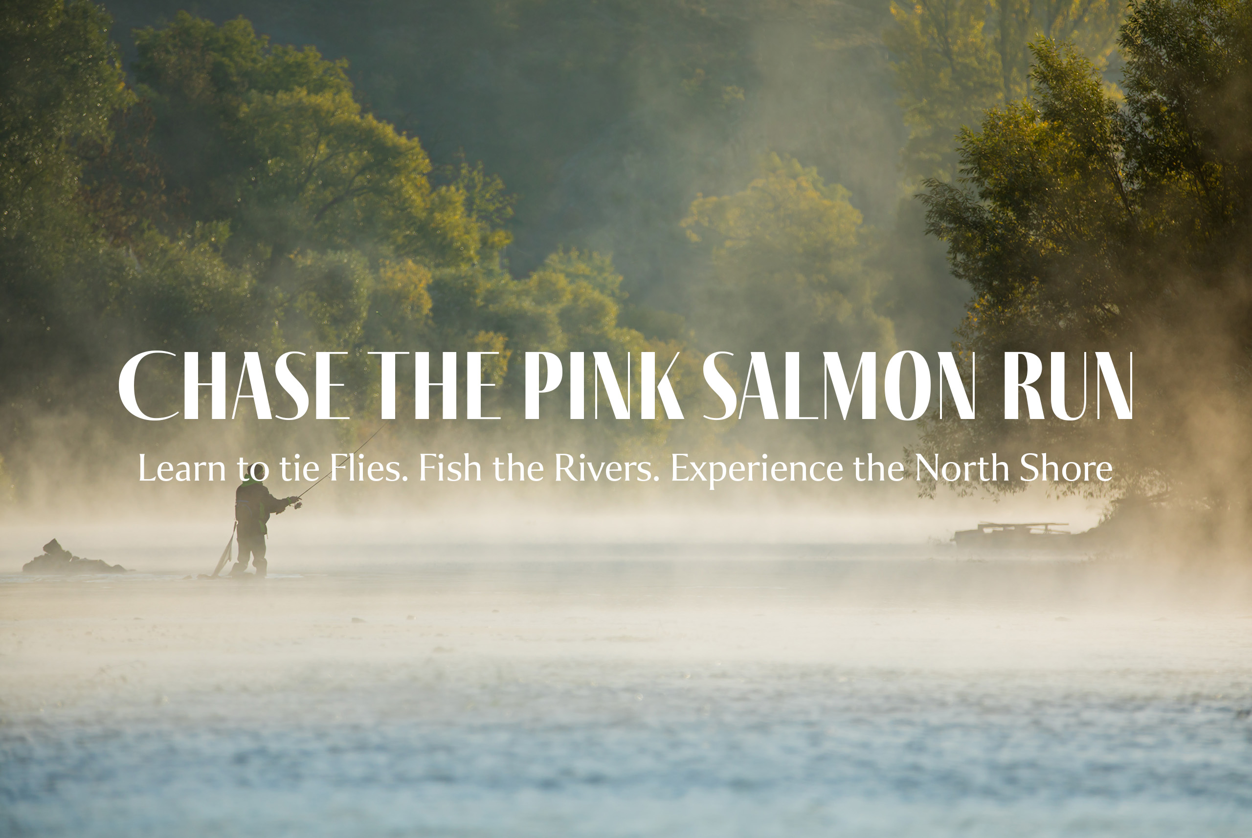 Chase the pink salmon run 1 Pink salmon hero