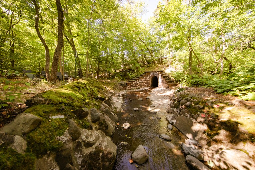 Insights from glensheen’s gardens with head gardener emily ford 3 Shaded creek and stone arch tunnel in the woods on glensheen’s grounds in duluth, framed by mossy rocks and green trees.