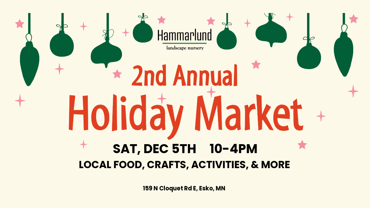 Holiday market 26 1280x720 1